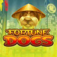 Fortune Dogs